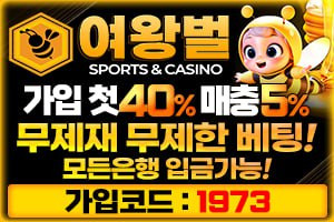 여왕벌 코드